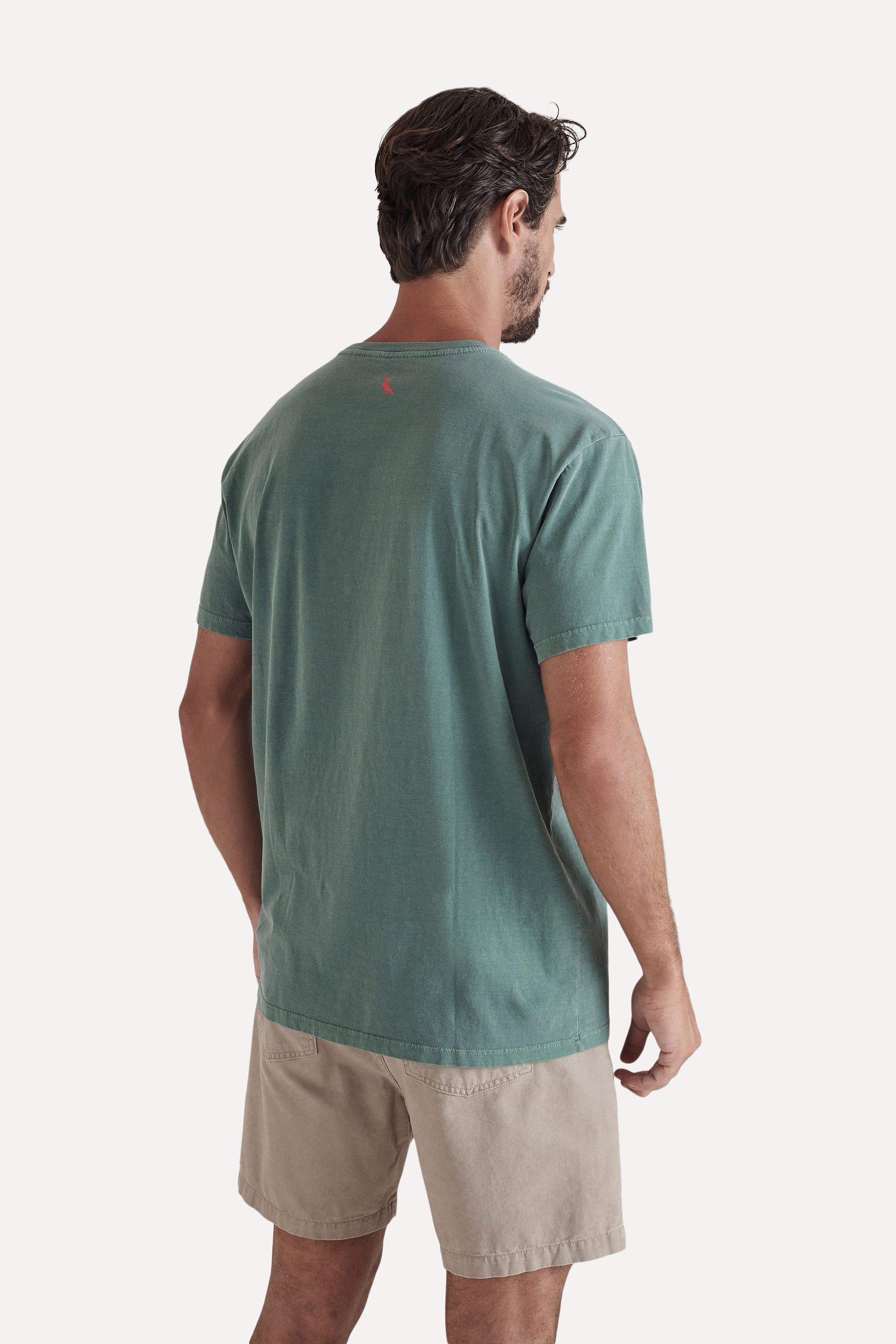 Camiseta Carnaval